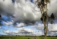 哪里能免费观看欧洲杯决赛直播？靠谱渠道与观赛技巧全解析