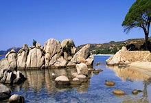 2024年全国女排冠军赛最新战况如何？有哪些亮点值得关注？